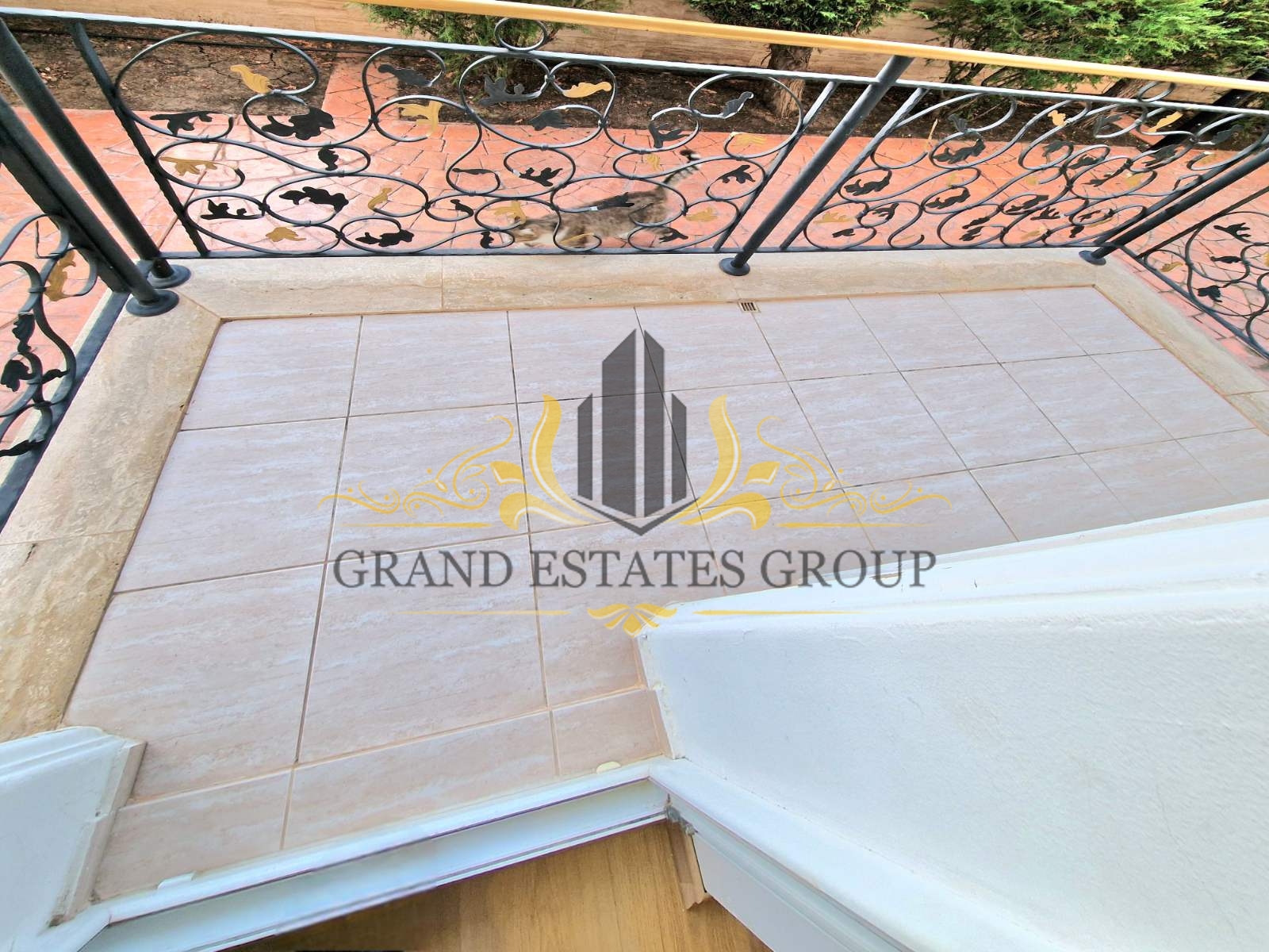 viber_izobrazhenie_2024-10-24_15-14-45-352