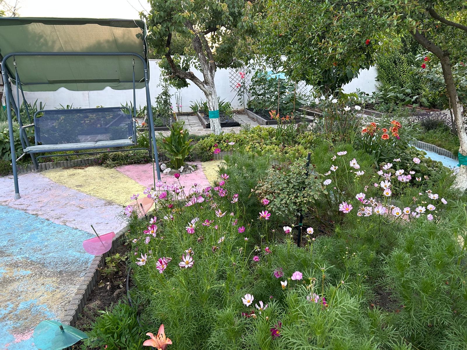 06daed4b-d347-40f7-95e6-8e688bee6557