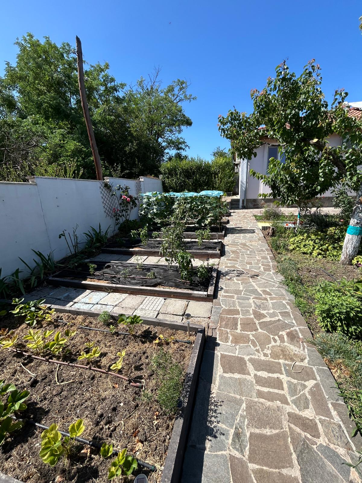 1f328823-6d30-4130-8778-85502e64b89b