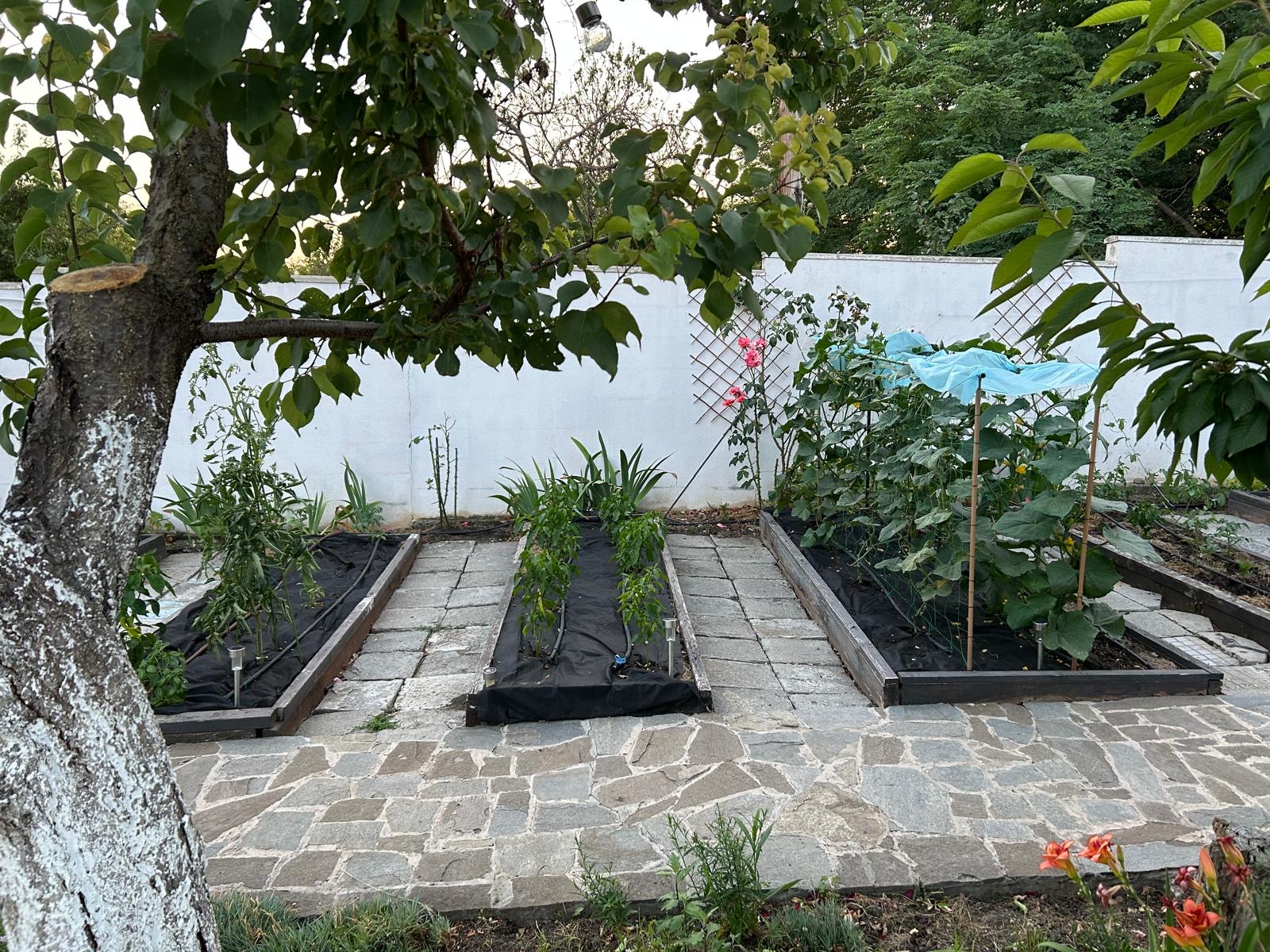 7647cd2a-5bae-4ed4-b228-0091ec0f9556