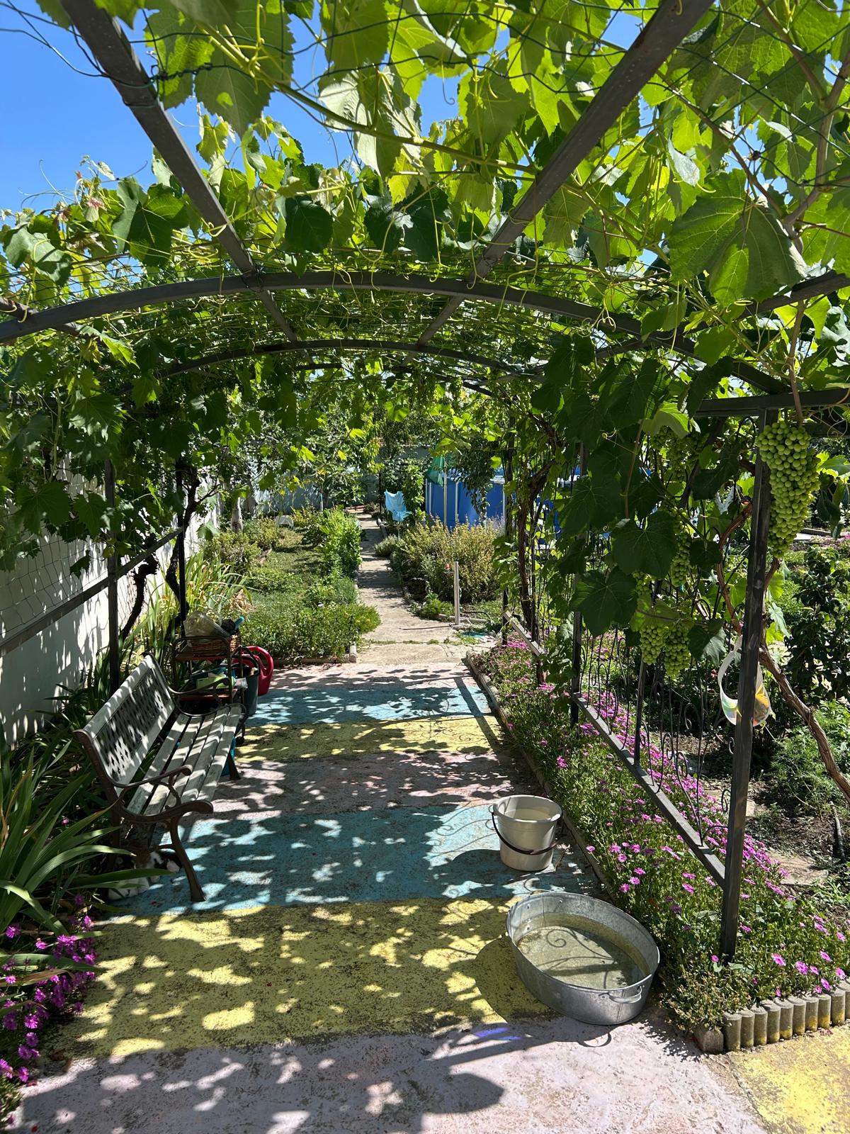 8be333e8-84b6-4ff8-9477-d5ff1aa2d427