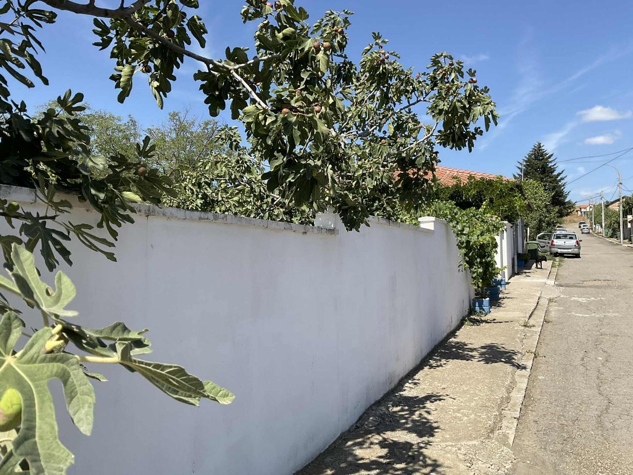 af5386b2-73f2-4491-bf2d-0e64f7fed44b