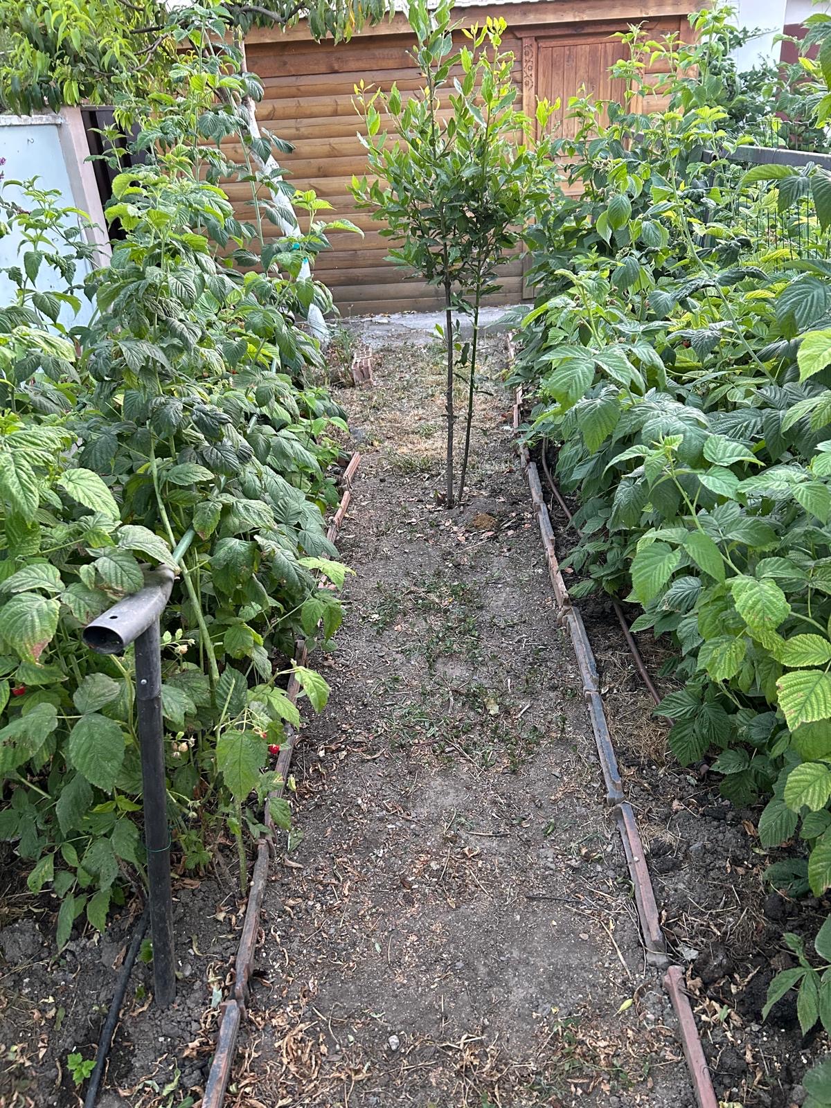 ba076777-8512-4289-abe3-d9a19f356475