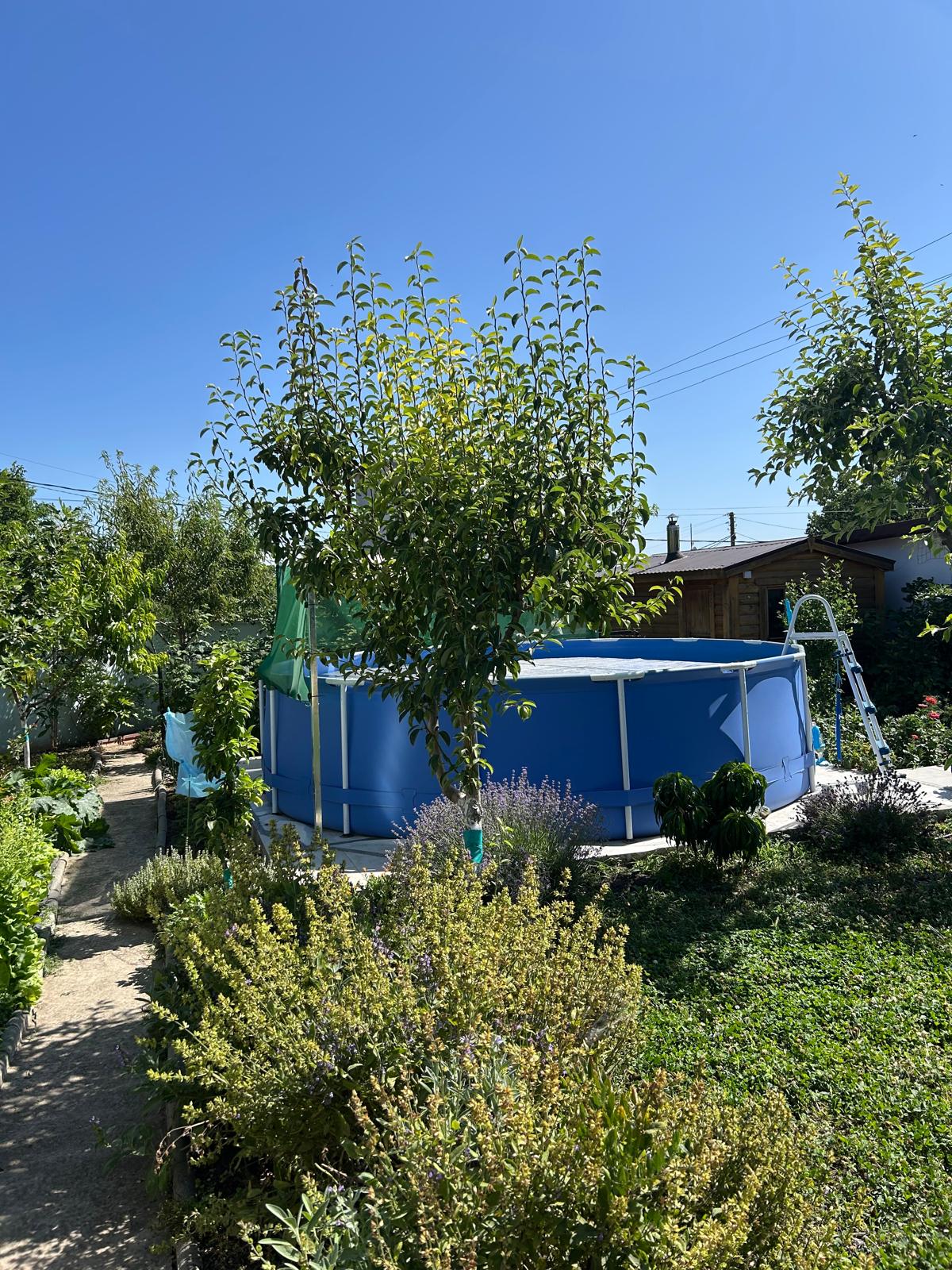 c218543b-0668-4215-a5ca-5a34d26c722a