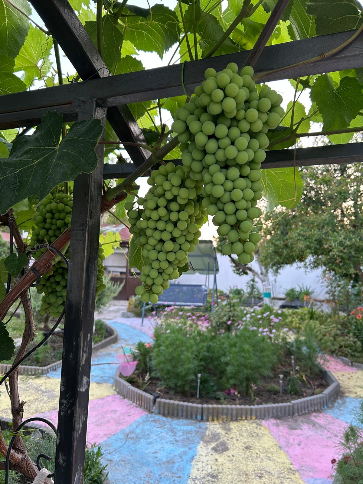 f2e034d9-90ca-45eb-b0b3-815d88b259fe