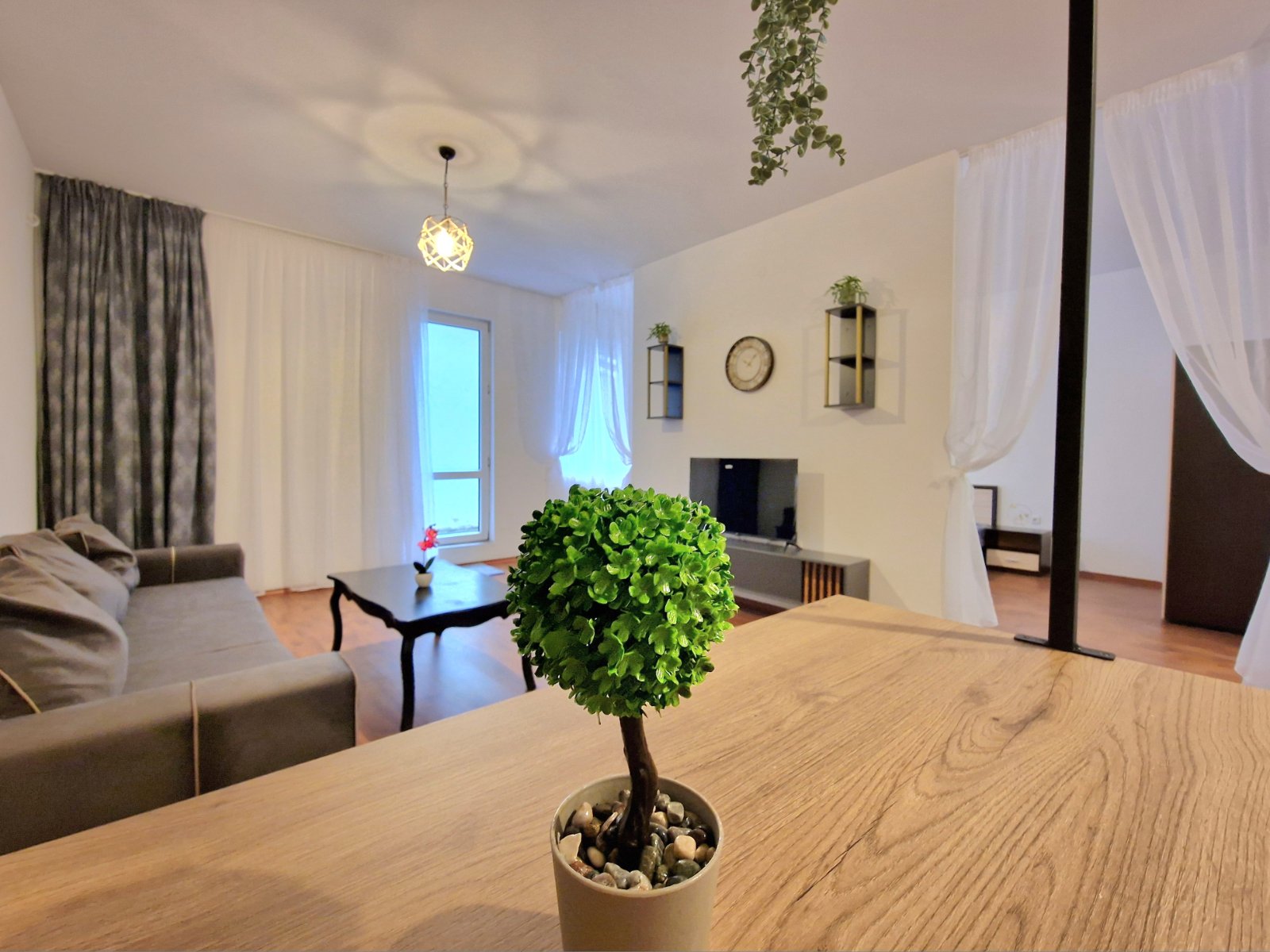 viber_изображение_2026-01-23_11-27-49-900