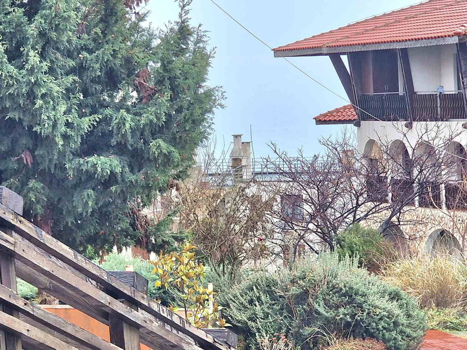 viber_изображение_2026-01-23_11-27-50-750