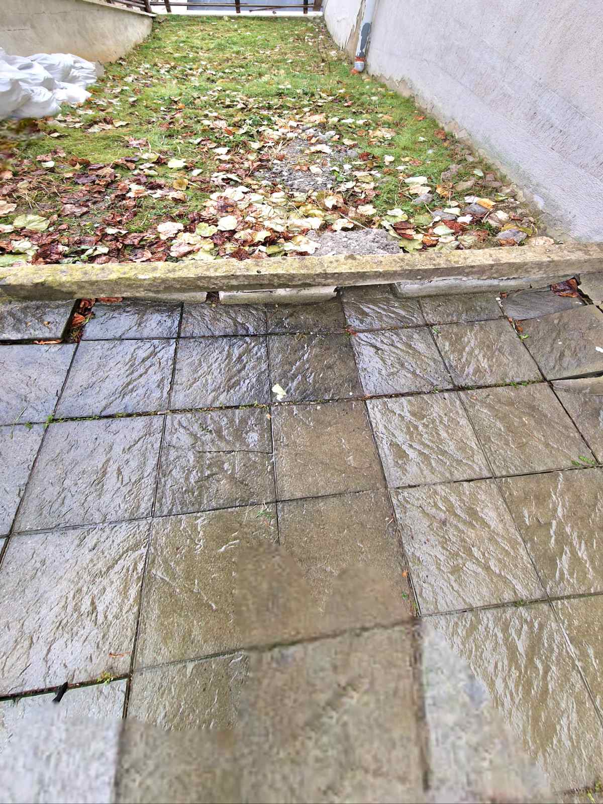 viber_изображение_2026-01-23_11-27-50-800