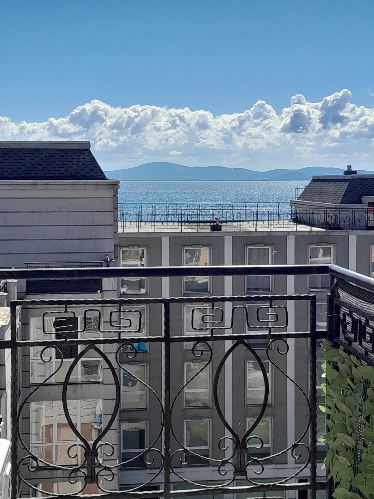 WhatsApp Image 2026-02-25 at 15.52.46 (3)