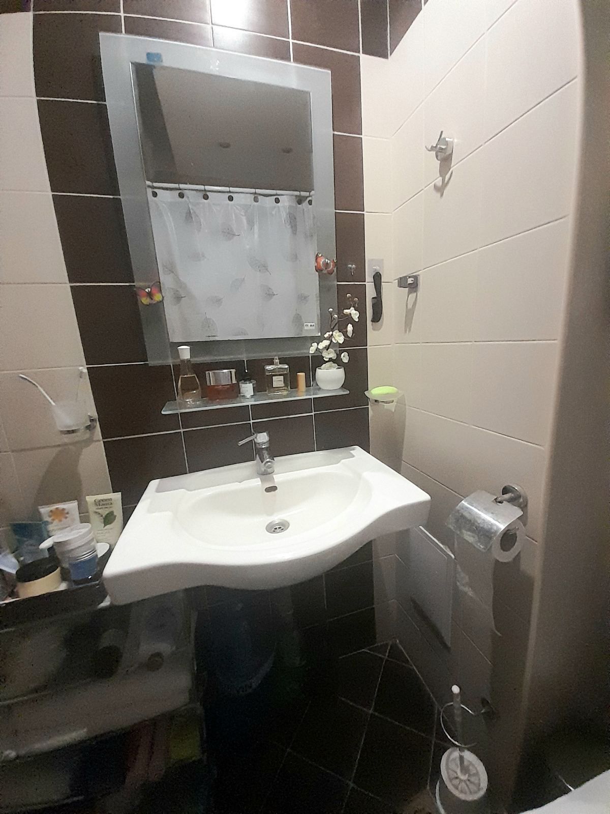 WhatsApp Image 2026-02-25 at 15.52.50