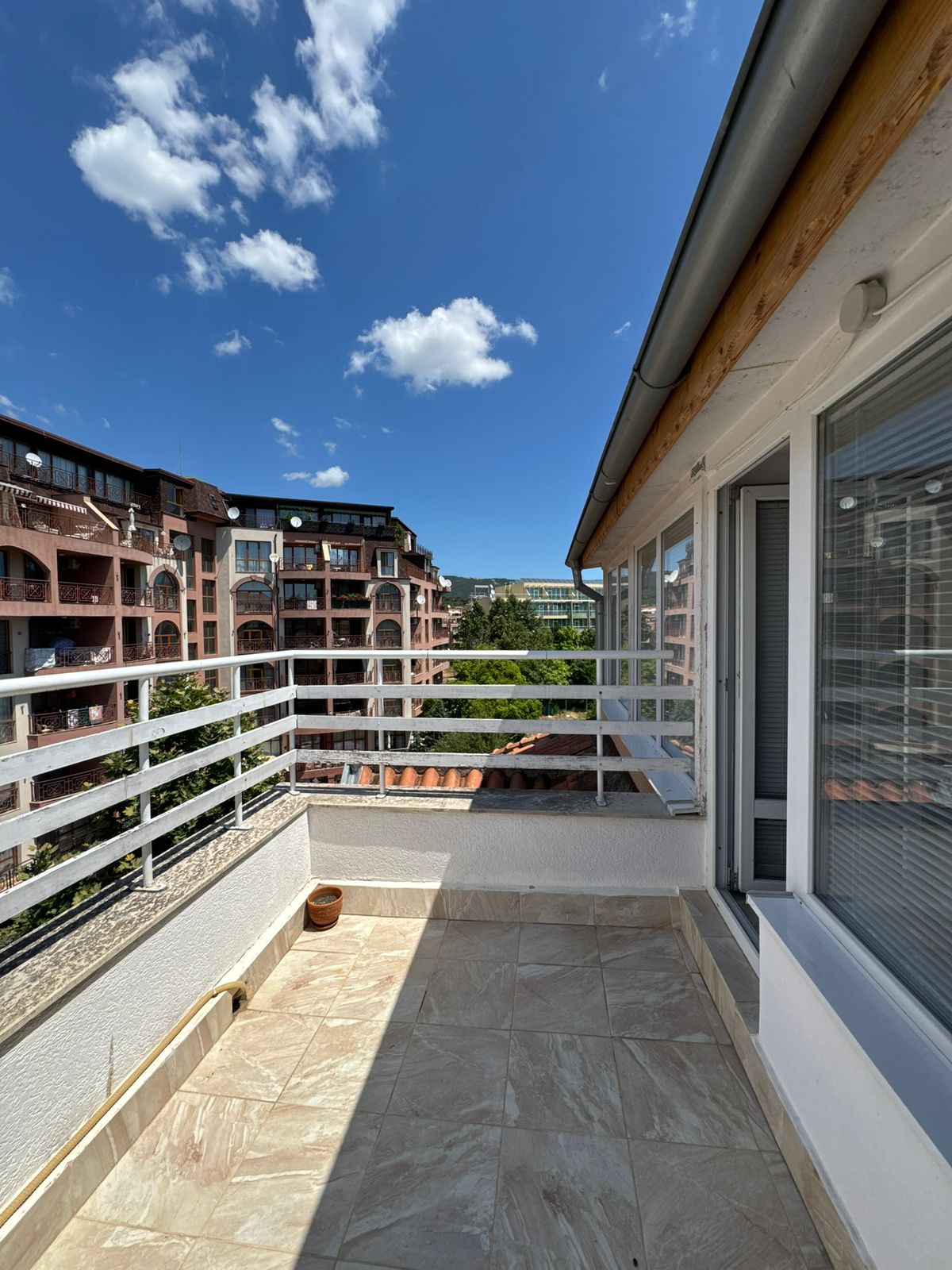 WhatsApp Image 2026-02-20 at 11.08.41